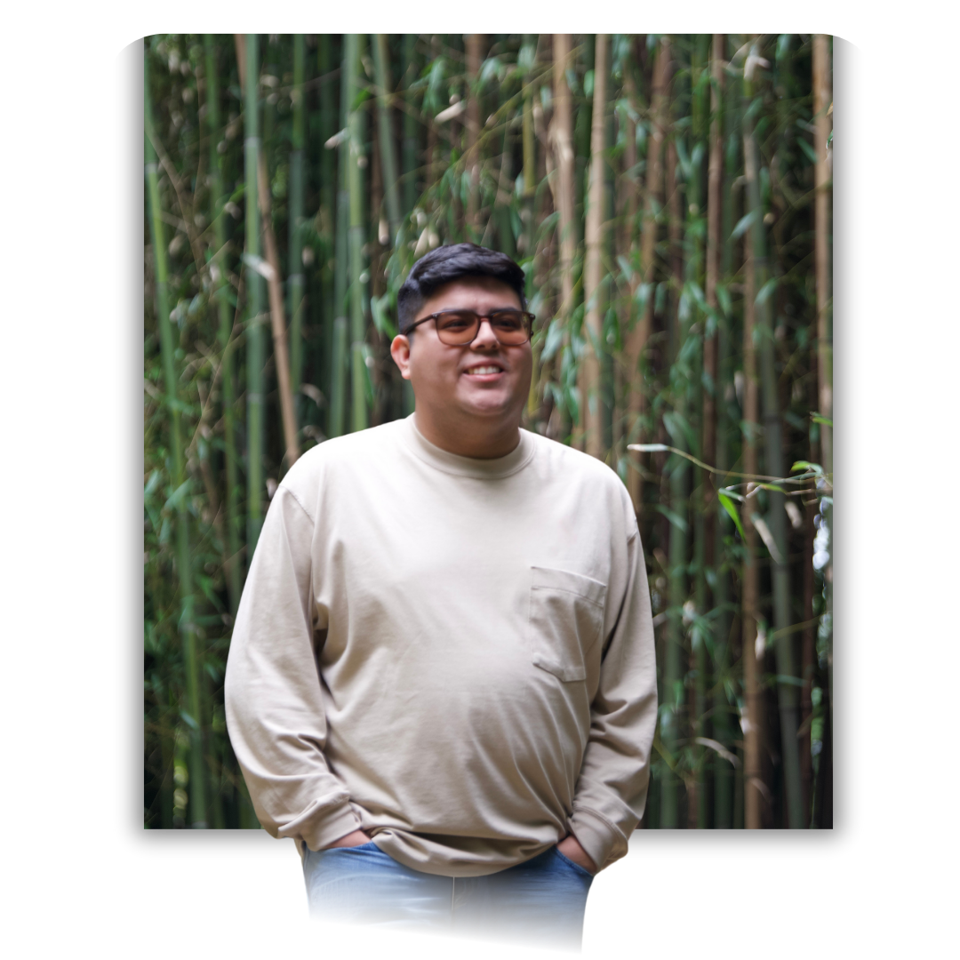 Website Images Website Images